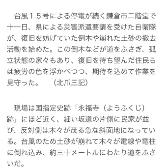 自然災害に何でも政府が保証するのは変なことでは？