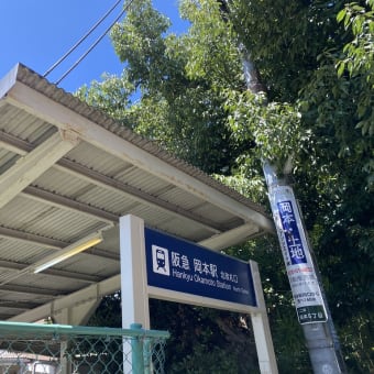 横池ハイク　もうこの夏仕舞いハイキング