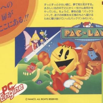 ナムコのＤＭ　１