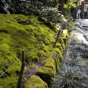 6月の寺