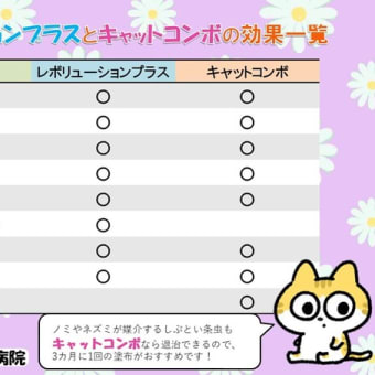 ●　GW後半が始まりました🌞【現在、診察は予約制となっております。】