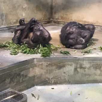 ずっと休み