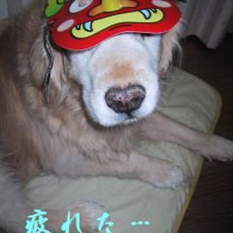 ひな祭りと一ヶ月遅れた節分