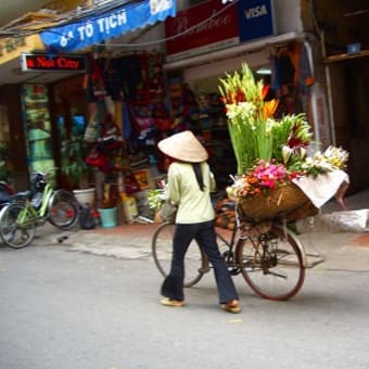 恋するベトナム