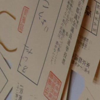 東京都議会選挙_開票状況⑤（逆さま票と欄外記載票）