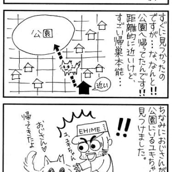 地域猫、問題発生！（中篇）26