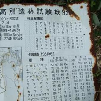 エゾマツ播種試験
