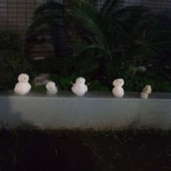 ゆきだぁー☆