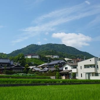 武田山で熟睡　８月１８日