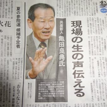 私の２０１６年ー亀さん