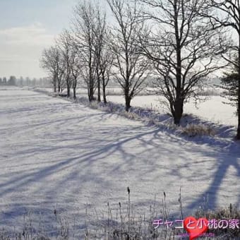 1月 北国の冬景色