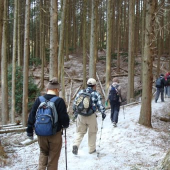 正月　２５期「ハイキング」～箕面大滝・ようらく台園地・天上ヶ岳～