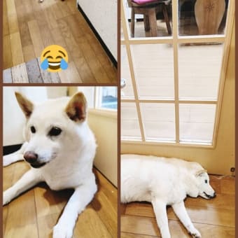 毎日のんびり
