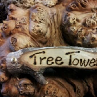 TreeTower完成(^3^)/