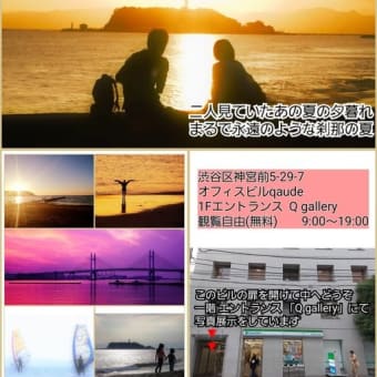オフィスビルにて写真展示中