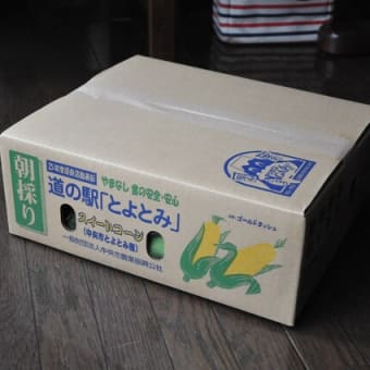 ゴールドラッシュ「トウモロコシ」が来ました。