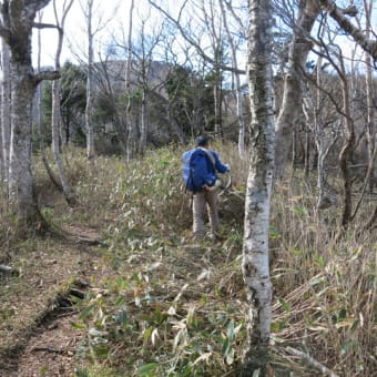 登山道整備！