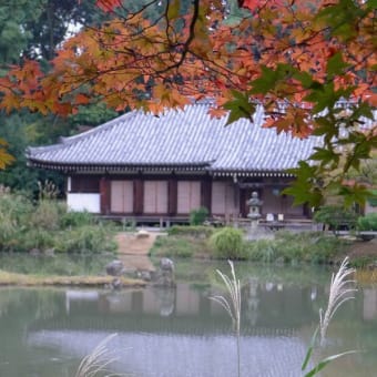 2013 奈良正倉院展の頃⑥ 浄瑠璃寺 2013/11/4