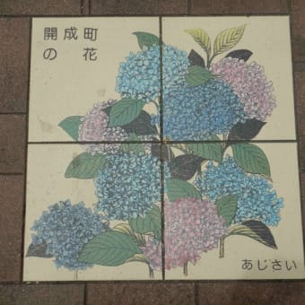 散歩記録（2024/06/09）