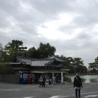 2012年11月24日　奈良公園散策　其の二