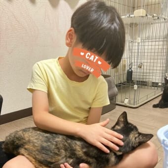 【ネコ】エマが虹の橋を渡った日② ～息子編～
