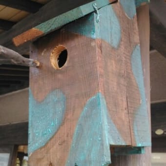 小屋展、始まる