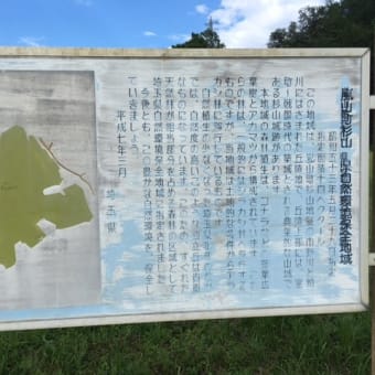 あじさい寺とリニューアル道の駅偵察ライド！？