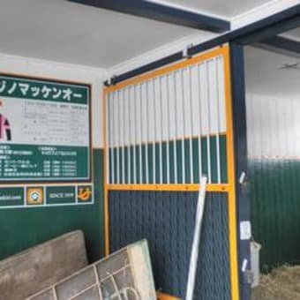 クレーンズラヴァー出走！