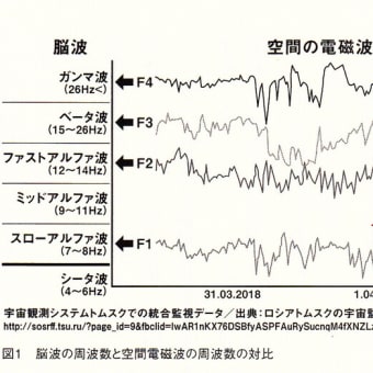 スーパーシューマン“バリ”　 7.83Hz シューマン周波数 発振装置