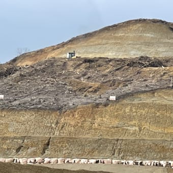 京都府南山城村のメガソーラー開発地へ視察に行ってきました。無残な姿にショックを受けて帰ってきました。