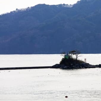 ぺっこばり(ちょっとだけ)「ひょっこりひょうたん島」
