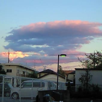 冬の便り　(ｏ￣∀￣)ノ”ぁぃ