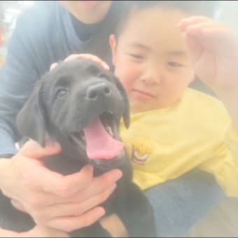 最後の更新