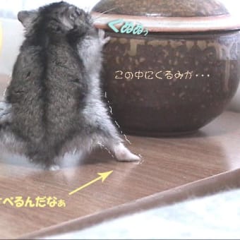 「不安しか募らない」って？
