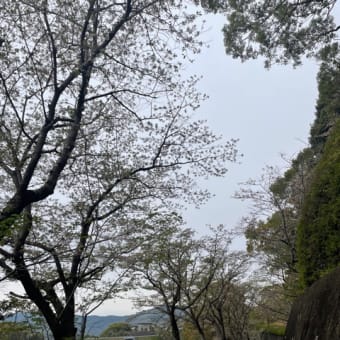 久々のお散歩