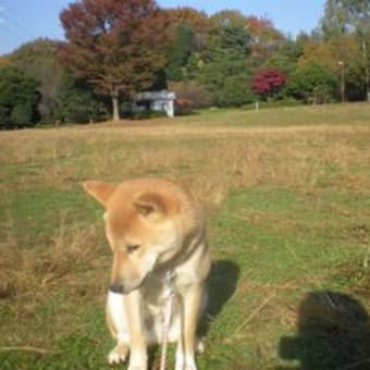 お気に入りの公園がまた一つ