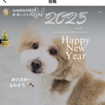 🎍2025🎍明けましておめでとうございます