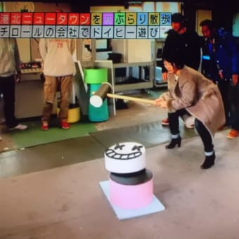 発泡スチロールで…
