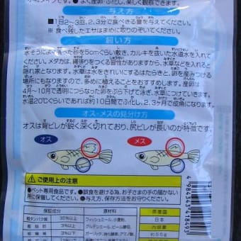 メダカシリーズ