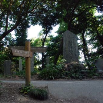 涼を求めて高尾山へ