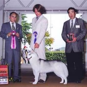 ＰＵＰＰＹの時の
