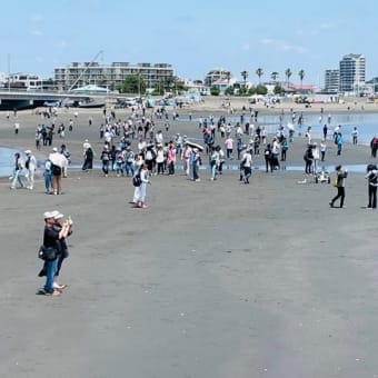 初夏の海割れて一筋…