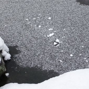 2012年2月18日(土)　東福寺　開山堂・三門