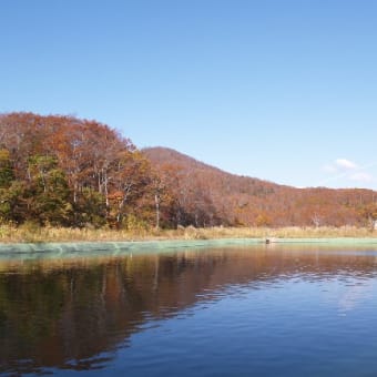 信越トレイル　希望湖～森の家～牧峠