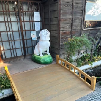 3年ぶりの旅行は川越