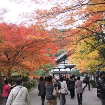 秋色の京都