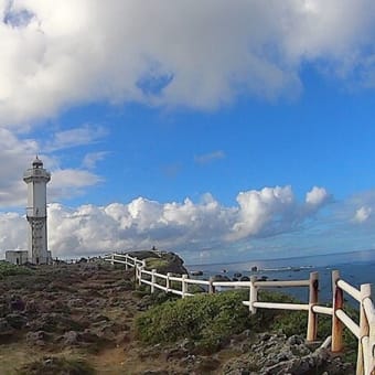 早春の南の島