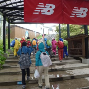 釜無ホテイアツモリソウに救われた　雨中の入笠山ハイキング