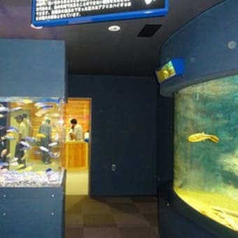 北見　山の水族館