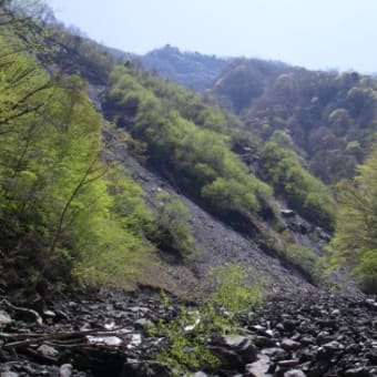 雨後の早川雨畑川の奥沢谷への釣行